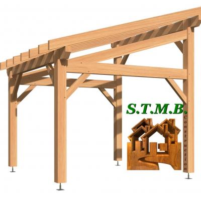 Carport bois 1018l douglas stmb construction